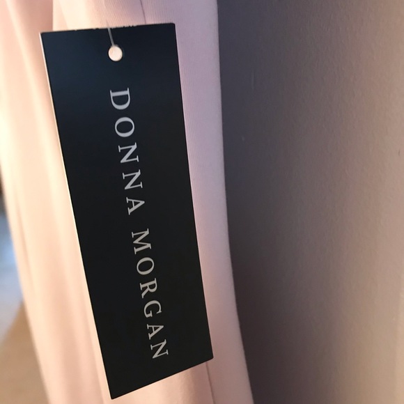 ❤️ Host Pick! Blush & black sheath dress with mesh - Picture 2 of 6